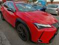Lexus UX 250h UX 2019 250h 2.0 Midnight 2wd cvt Roşu - thumbnail 3