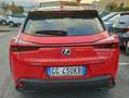 Lexus UX 250h UX 2019 250h 2.0 Midnight 2wd cvt Roşu - thumbnail 5