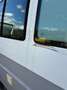 Volkswagen T4 Multivan 70B MF2 - thumbnail 2