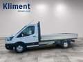 Ford Transit Pritsche 2,0 EcoBlue L3H1 350 Trend Blanc - thumbnail 11