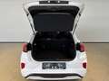 Ford Puma 1,0 EcoBoost Hybrid ST-Line Weiß - thumbnail 5