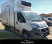 Fiat Ducato 35 2.3 MJT 130CV PL Cabinato Maxi FRIGO FRCX -20° Bianco - thumbnail 3