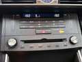 Lexus IS 300 300h F Sport Line Limited | Parkeersensoren | Stoe Gris - thumbnail 10