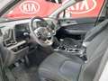 Kia Sportage 1.6 tgdi Gpl Business 136cv 2wd Blanc - thumbnail 10