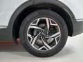 Kia Sportage 1.6 tgdi Gpl Business 136cv 2wd Weiß - thumbnail 14