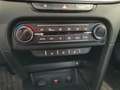 Kia Ceed SW / cee'd SW 1.5 TOP RFK|LED|Navi|Winter Gris - thumbnail 19