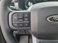 Ford F 150 Supercrew LARIAT Black Package V8 5.0L FLEXFUEL Gris - thumbnail 26