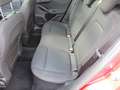 Ford Focus ST-Line X AHK abn. Matrix-LED Pano B&O Rojo - thumbnail 11