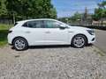 Renault Megane 1.5dCi Blue Business 85kW Blanco - thumbnail 4