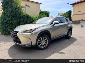 Executive NX 300h HEV