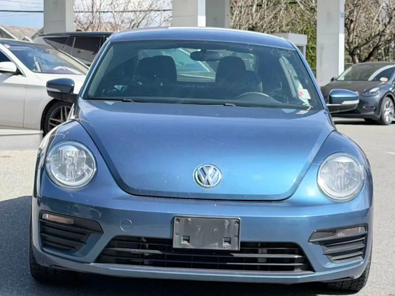 Volkswagen Beetle снимка Volkswagen Beetle