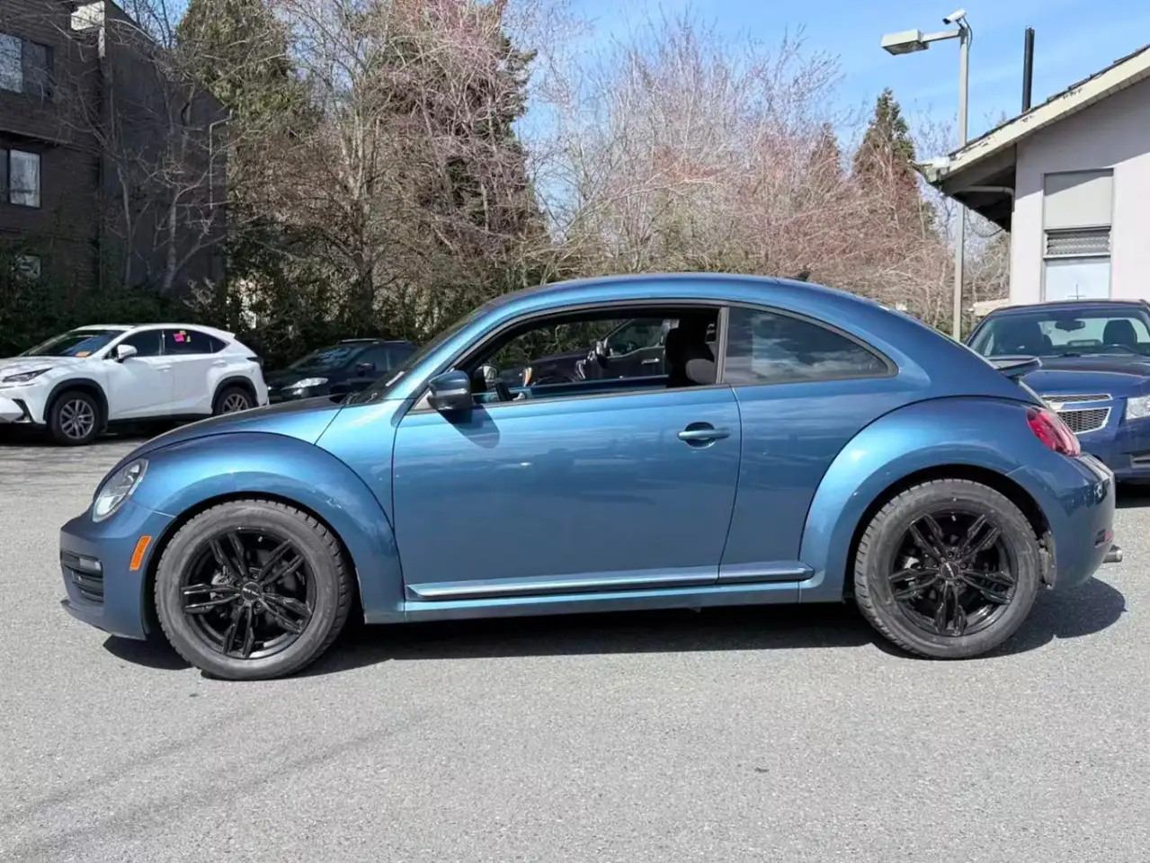 Volkswagen Beetle снимка Volkswagen Beetle