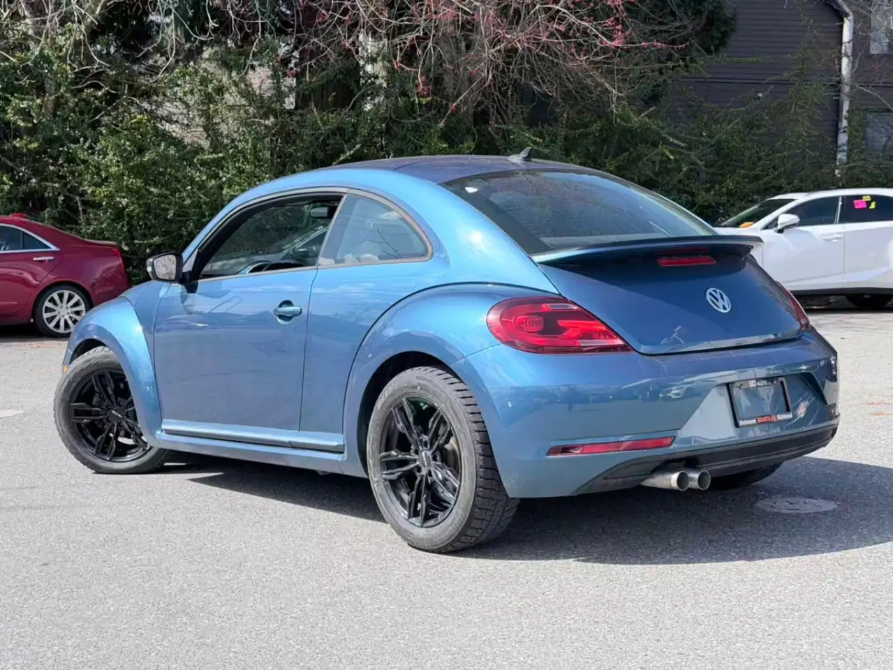 Volkswagen Beetle снимка Volkswagen Beetle