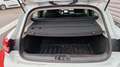 Renault Clio V SOCIETE SCE 65 - AIR NAV Blanc - thumbnail 13