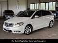 Mercedes-Benz B 180 B -Klasse B 180*1.Hand!*Klimaautomatik Weiß - thumbnail 3