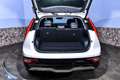 Kia Niro EV Inspiration Weiß - thumbnail 9