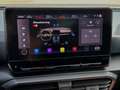 CUPRA Leon VZ 2.0 TSI DSG LM19 LEDER KAMERA SUPERSPORT Grau - thumbnail 14