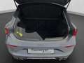 CUPRA Leon VZ 2.0 TSI DSG LM19 LEDER KAMERA SUPERSPORT Grau - thumbnail 13