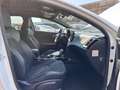 Kia ProCeed / pro_cee'd ProCeed III 1.5 t-gdi mhev GT Line Plus 160cv dct Bianco - thumbnail 12