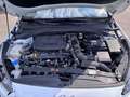 Kia ProCeed / pro_cee'd ProCeed III 1.5 t-gdi mhev GT Line Plus 160cv dct Bianco - thumbnail 15