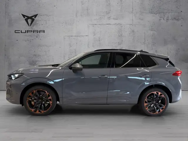 Cupra Terramar view 4