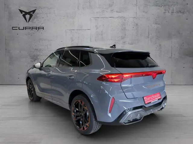 Cupra Terramar view 8