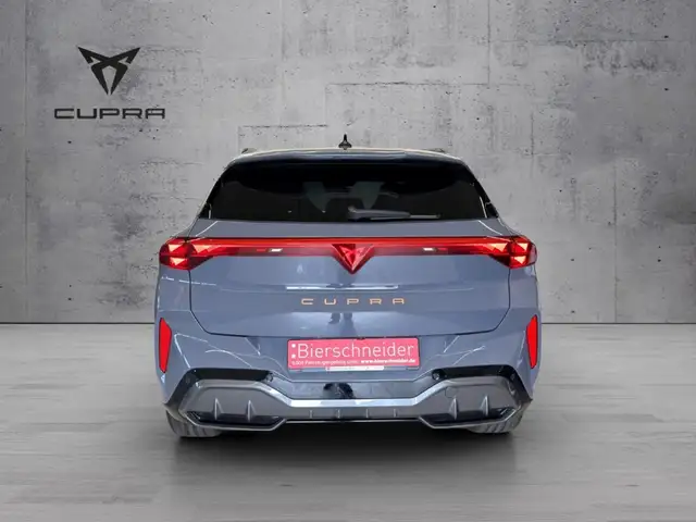 Cupra Terramar view 9