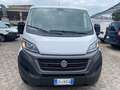Fiat Ducato 30  2.3 MTJ 120 CV  L1H1 Weiß - thumbnail 3