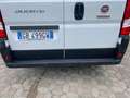 Fiat Ducato 30  2.3 MTJ 120 CV  L1H1 Weiß - thumbnail 5