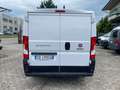 Fiat Ducato 30  2.3 MTJ 120 CV  L1H1 Weiß - thumbnail 4