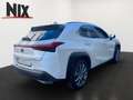 Lexus UX 250h UX 250 h Style+ Edition KAMERA EPH Weiß - thumbnail 4