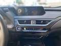 Lexus UX 250h UX 250 h Style+ Edition KAMERA EPH Weiß - thumbnail 13
