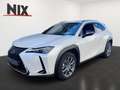 Lexus UX 250h UX 250 h Style+ Edition KAMERA EPH Weiß - thumbnail 1