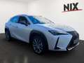 Lexus UX 250h UX 250 h Style+ Edition KAMERA EPH Weiß - thumbnail 2