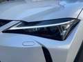 Lexus UX 250h UX 250 h Style+ Edition KAMERA EPH Weiß - thumbnail 7