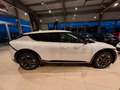 Kia EV6 Earth 2WD 168kW WP*KOM*SD*ASS*DRIVE Weiß - thumbnail 11