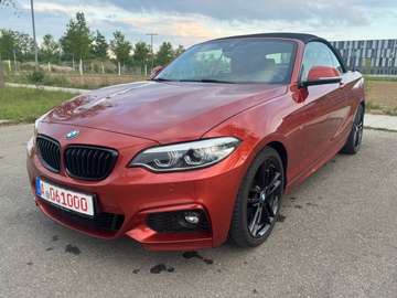 2 Cabrio 230 i M Sport