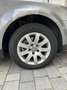 Volkswagen Passat Variant Trendline Grau - thumbnail 14