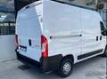 Citroen Jumper JUMPER 35 M2 H2 BLUEHDI 140CV KM 0 Bianco - thumbnail 3