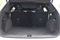 Ford Kuga 2.5 PHEV ST-LINE X, PANO,LED,ACC,Kamera uvm Weiß - thumbnail 8