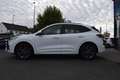Ford Kuga 2.5 PHEV ST-LINE X, PANO,LED,ACC,Kamera uvm Weiß - thumbnail 4