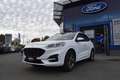 Ford Kuga 2.5 PHEV ST-LINE X, PANO,LED,ACC,Kamera uvm Weiß - thumbnail 1