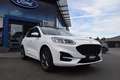 Ford Kuga 2.5 PHEV ST-LINE X, PANO,LED,ACC,Kamera uvm Weiß - thumbnail 3