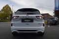 Ford Kuga 2.5 PHEV ST-LINE X, PANO,LED,ACC,Kamera uvm Weiß - thumbnail 7