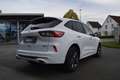 Ford Kuga 2.5 PHEV ST-LINE X, PANO,LED,ACC,Kamera uvm Weiß - thumbnail 2