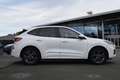 Ford Kuga 2.5 PHEV ST-LINE X, PANO,LED,ACC,Kamera uvm Weiß - thumbnail 5