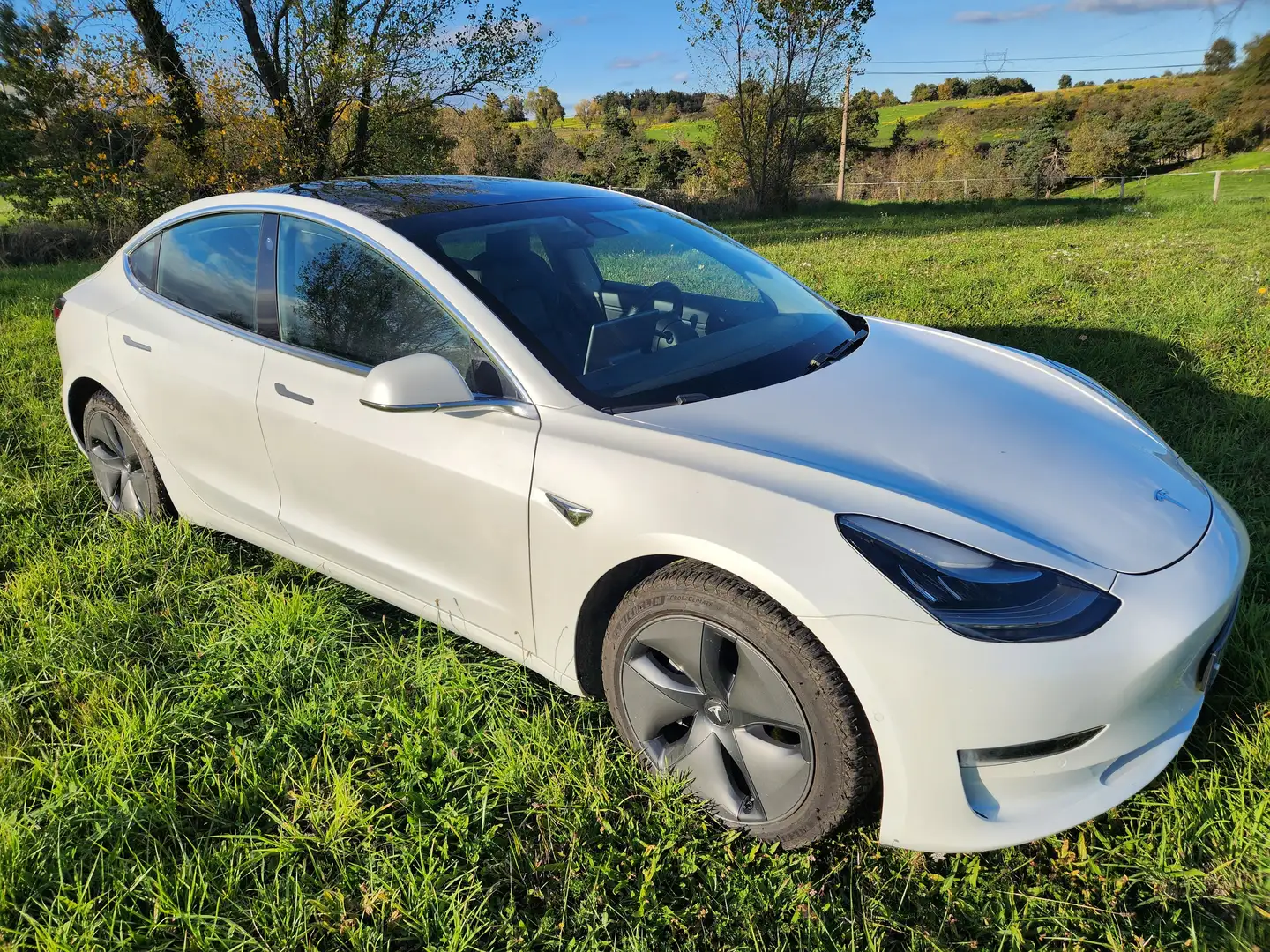 Tesla Model 3 MODEL 3 Long-Range Dual Motor AWD Weiß - 1