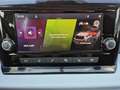 SEAT Ibiza 1.0 Reference LED Klima DAB PDC SHZ LM Weiß - thumbnail 24