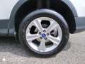 Ford Kuga Kuga 2.0 tdci Business 4wd DIESEL 4x4 Blanc - thumbnail 32
