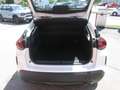 Citroen C4 C4 Blue HDI 130 EAT8 Automatik PLUS Blanco - thumbnail 19